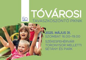Tóvárosi piknik