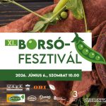 XI. Borsófesztivál – felhívás